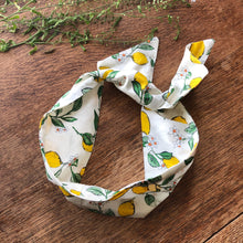 Load image into Gallery viewer, Lemon Print Cotton Wire Headband
